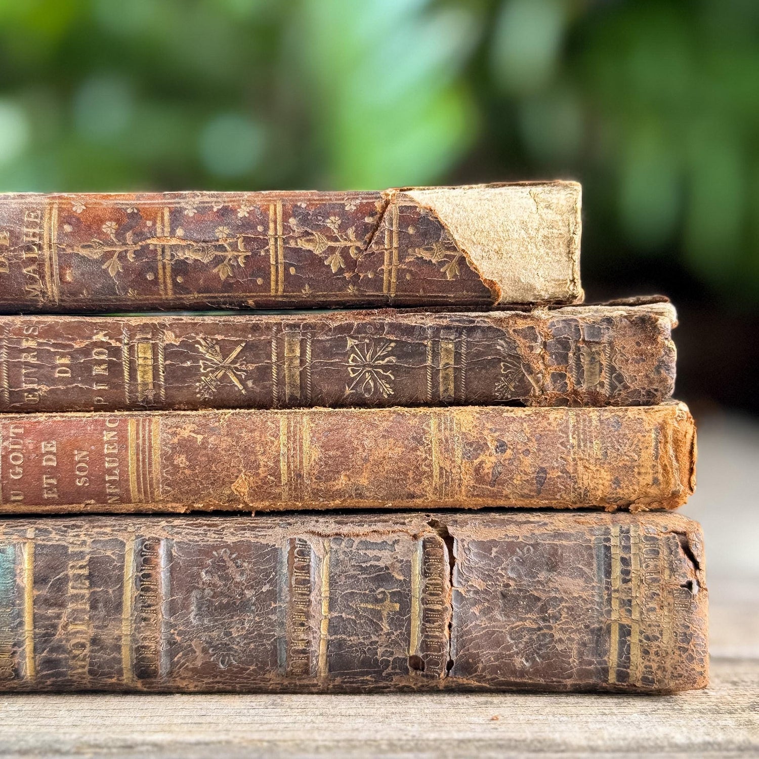 Small Shabby Antique French Book Set in Brown and Gold Leather