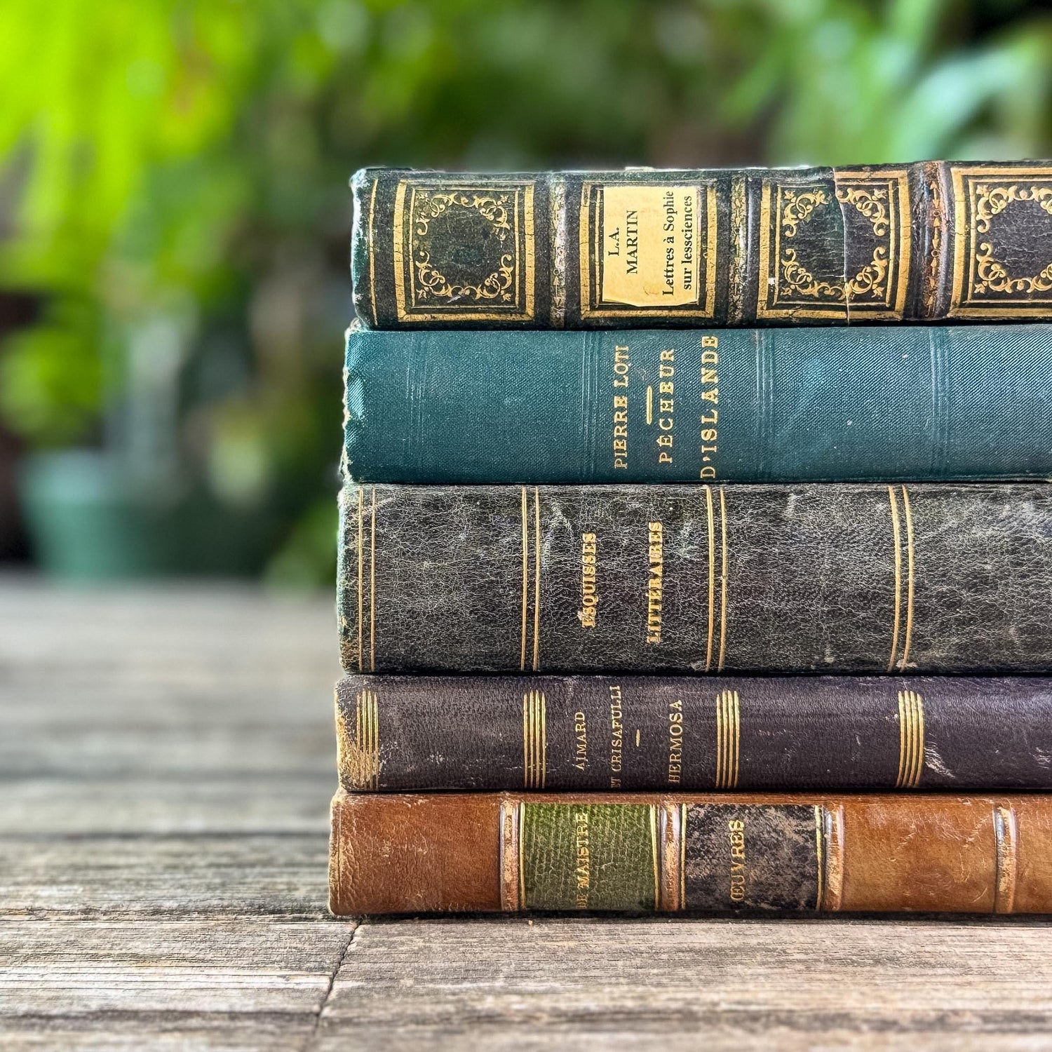 Antique Blue & Green French Leather-Bound Moody Book Bundle