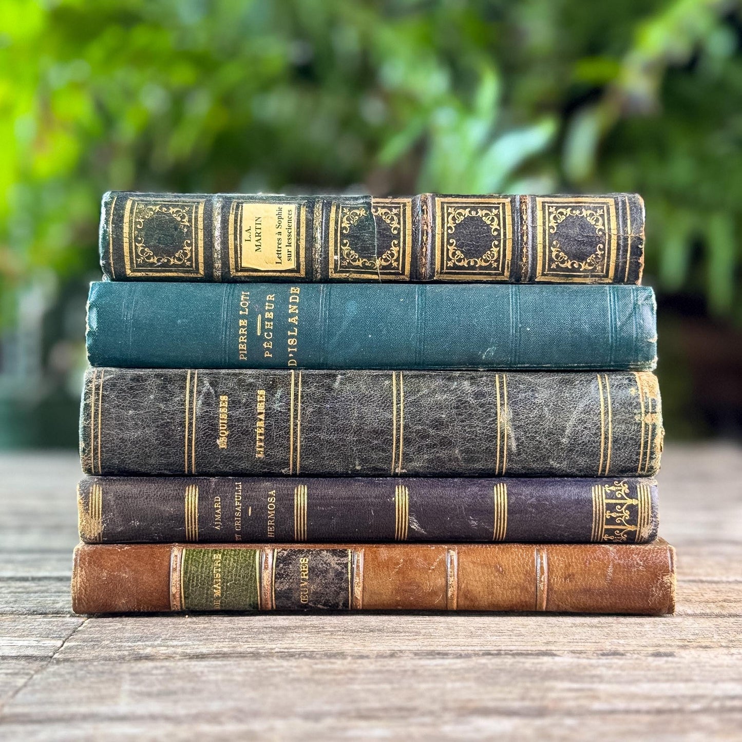 Antique Blue & Green French Leather-Bound Moody Book Bundle