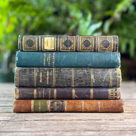 Antique Blue & Green French Leather-Bound Moody Book Bundle