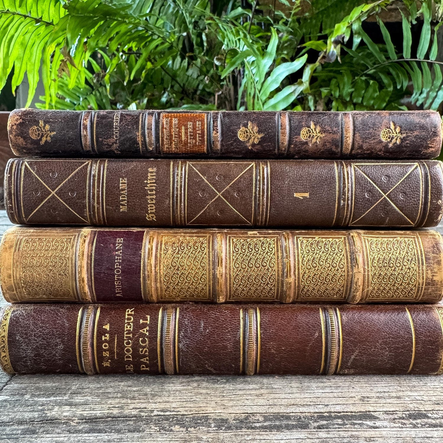 Antique Brown & Gold Ornate French Leather Book Bundle