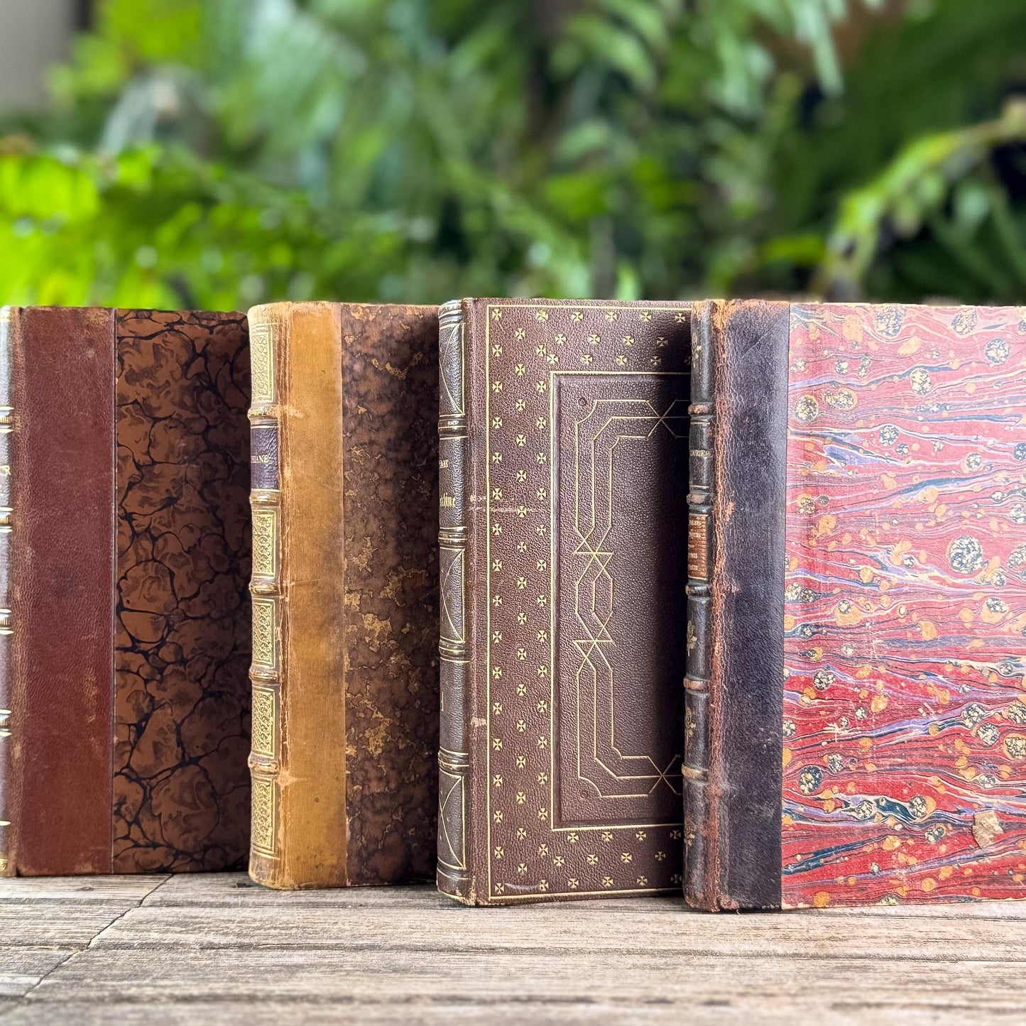 Antique Brown & Gold Ornate French Leather Book Bundle