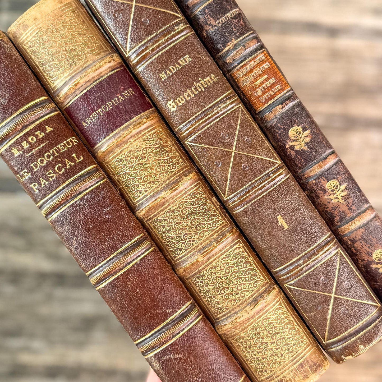 Antique Brown & Gold Ornate French Leather Book Bundle