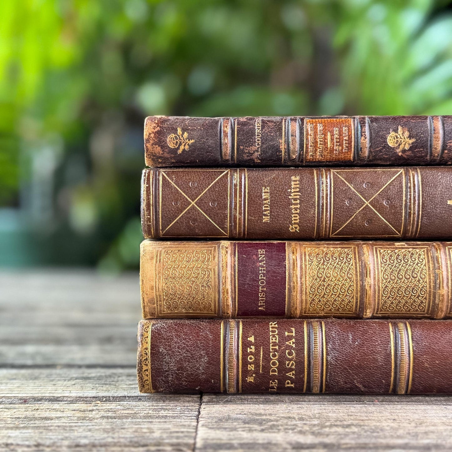 Antique Brown & Gold Ornate French Leather Book Bundle
