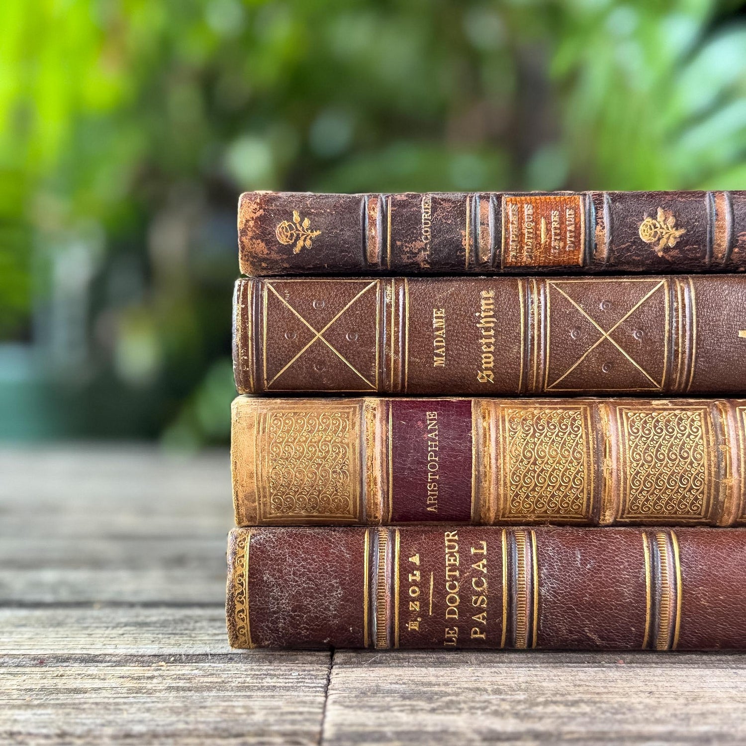 Antique Brown & Gold Ornate French Leather Book Bundle