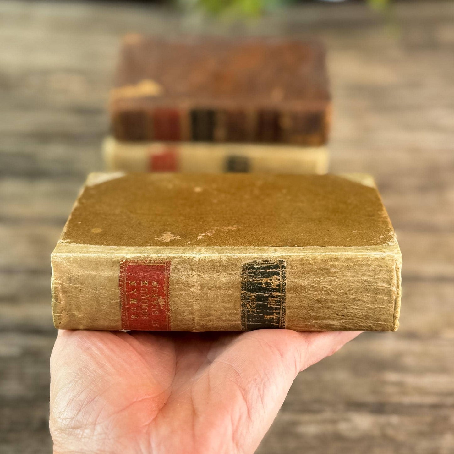 Mini Old Brown & Tan French Leather Book Bundle for Small Spaces