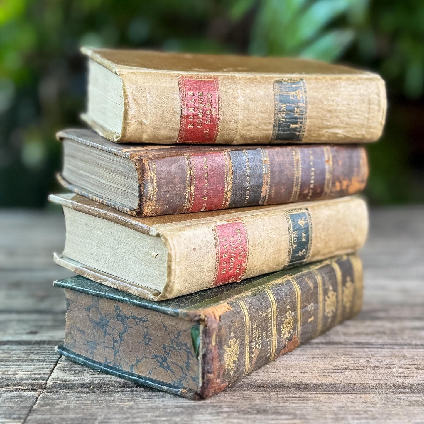 Mini Old Brown & Tan French Leather Book Bundle for Small Spaces