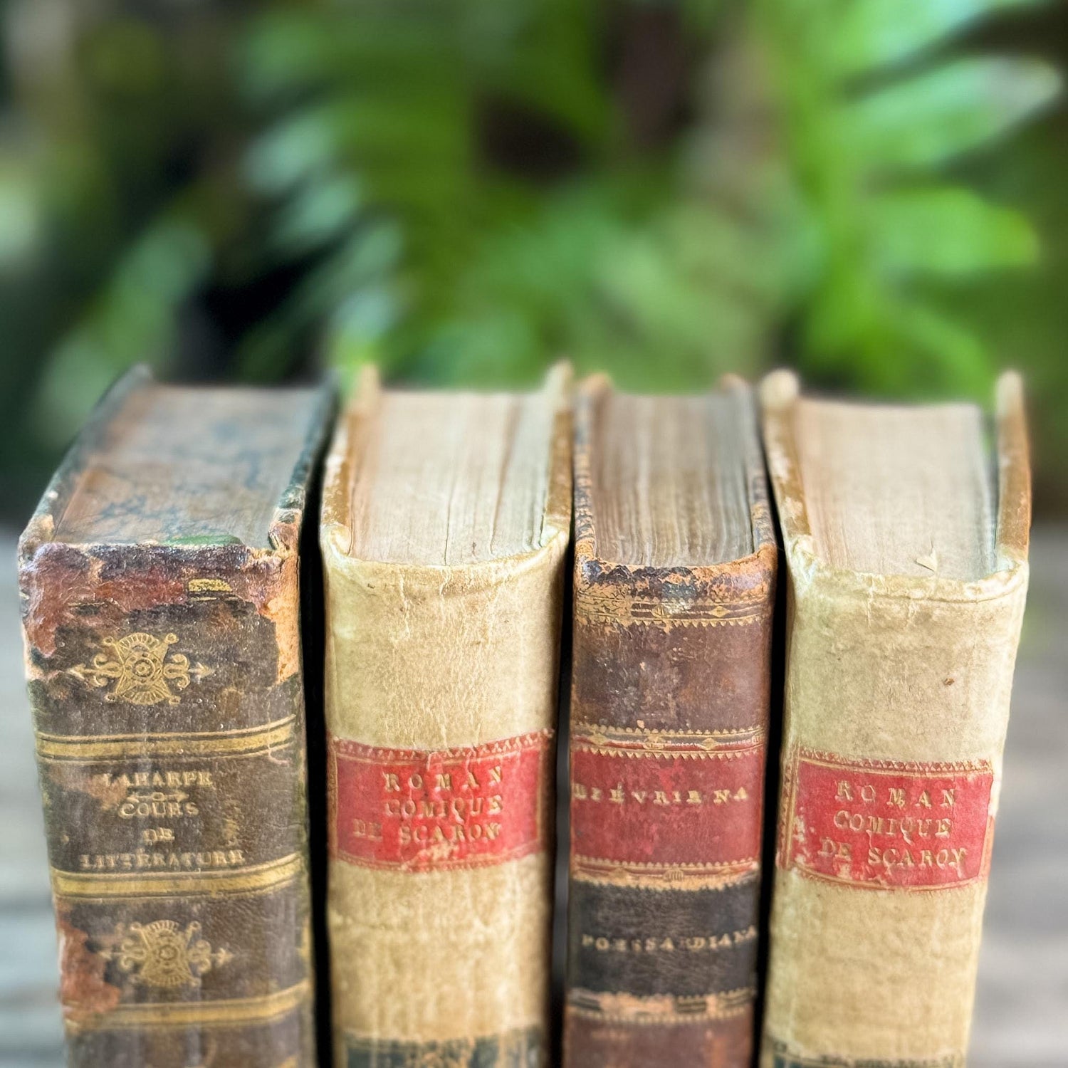 Mini Old Brown & Tan French Leather Book Bundle for Small Spaces