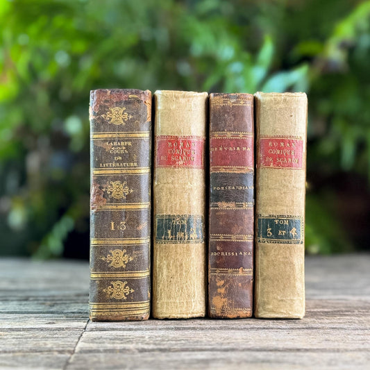 Mini Old Brown & Tan French Leather Book Bundle for Small Spaces