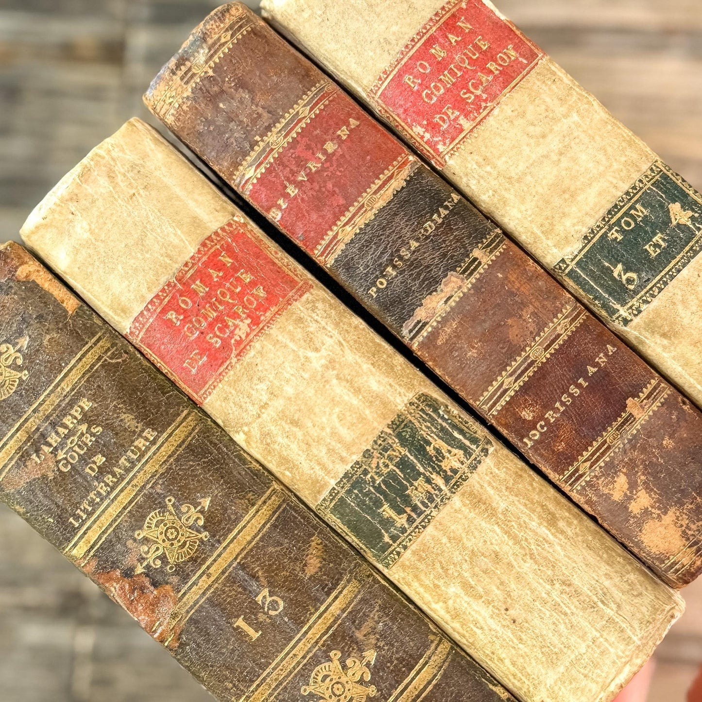 Mini Old Brown & Tan French Leather Book Bundle for Small Spaces