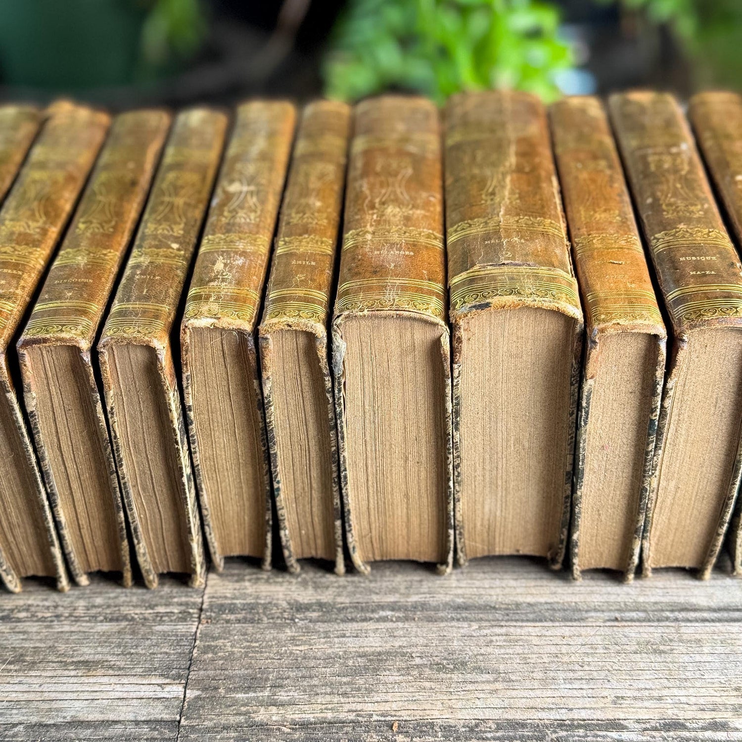 Antique French Leather Book Set, Works of Rousseau, 1820, 20 of 22 Volumes