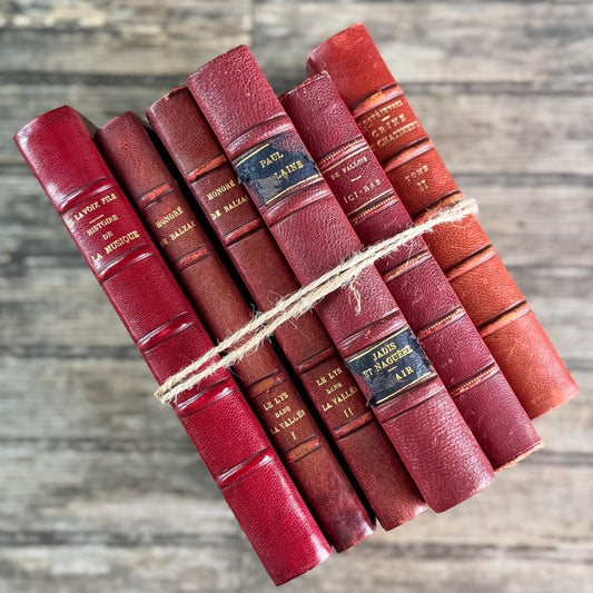 Antique Copper, Brown, and Red French Leather Book Bundle