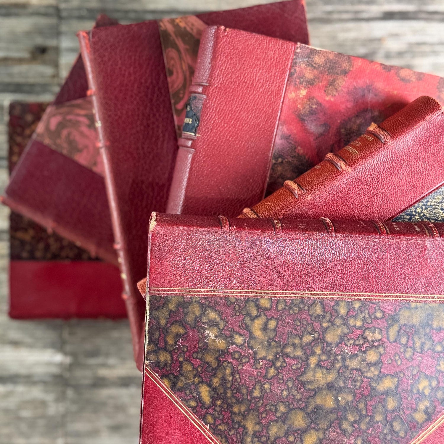 Antique Copper, Brown, and Red French Leather Book Bundle