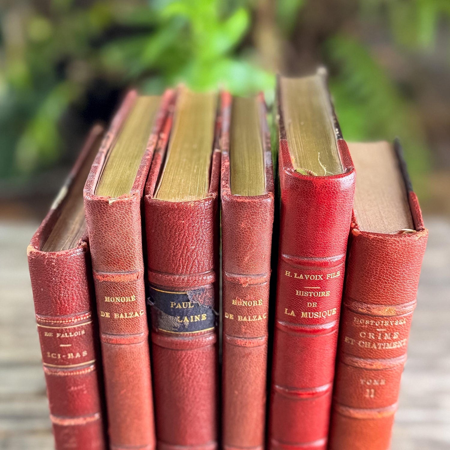 Antique Copper, Brown, and Red French Leather Book Bundle