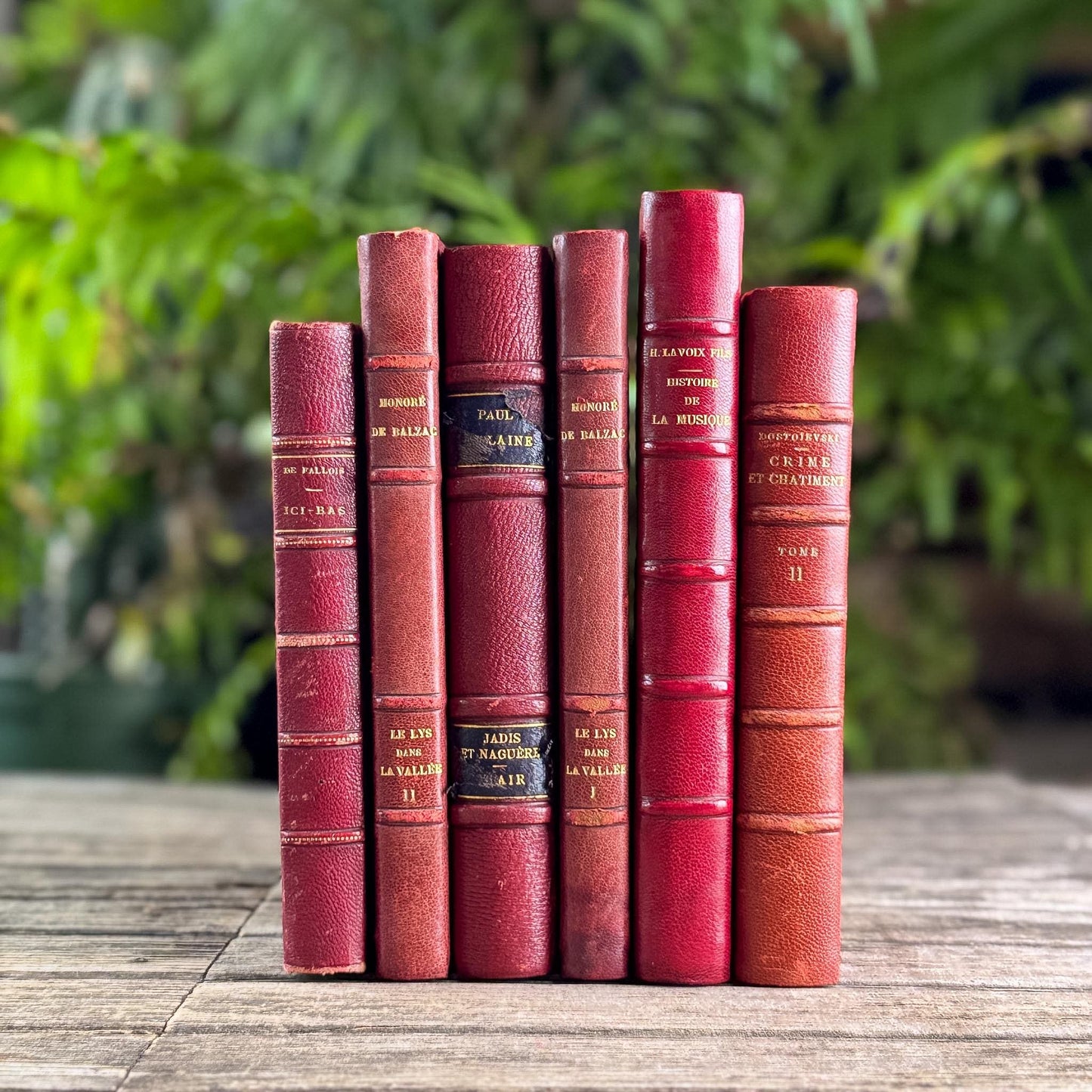 Antique Copper, Brown, and Red French Leather Book Bundle