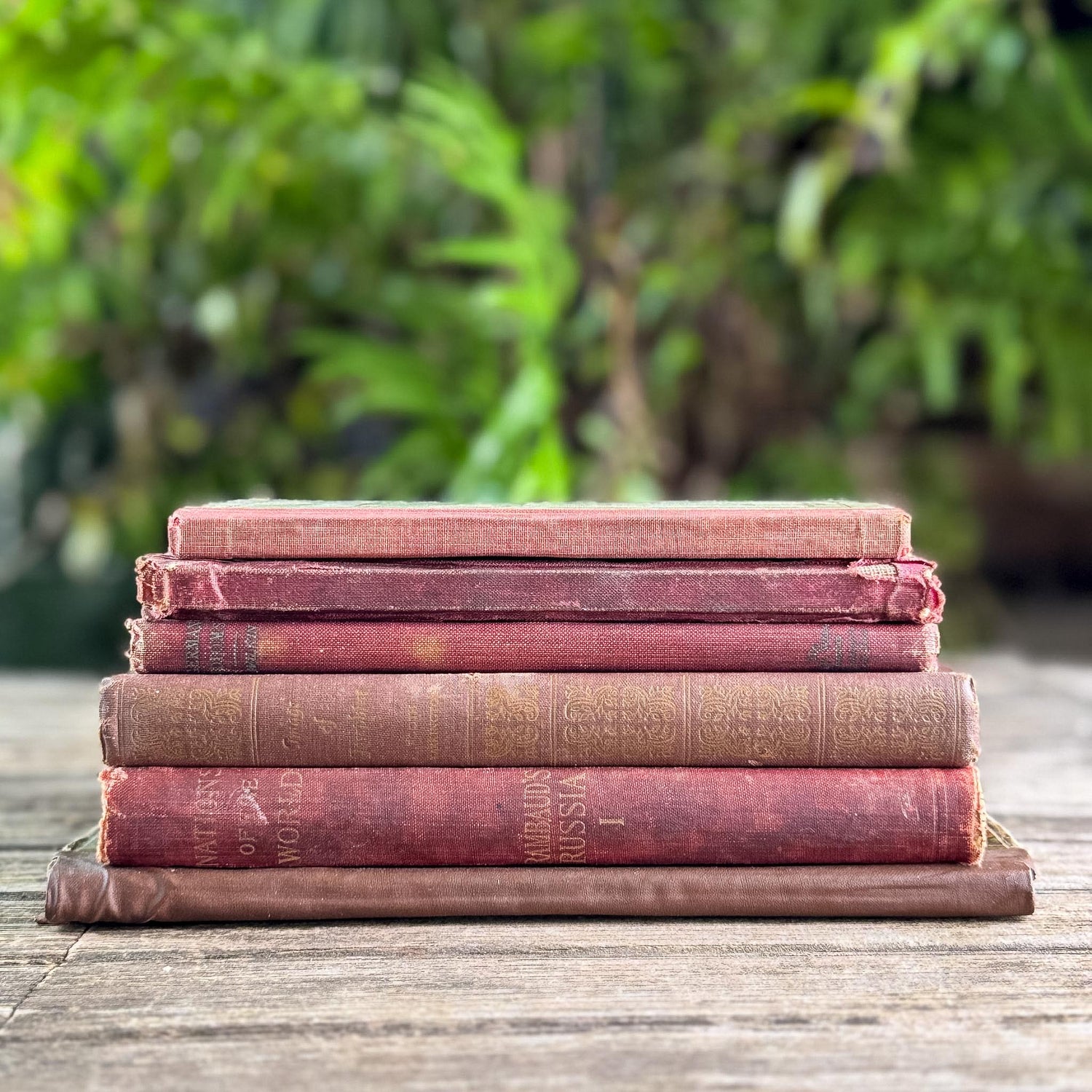 Antique Shabby Red & Brown Book Bundle for Moody Shelf Styling