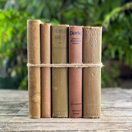 Vintage Neutral Olive Green and Brown Book Bundle for Shelf Styling
