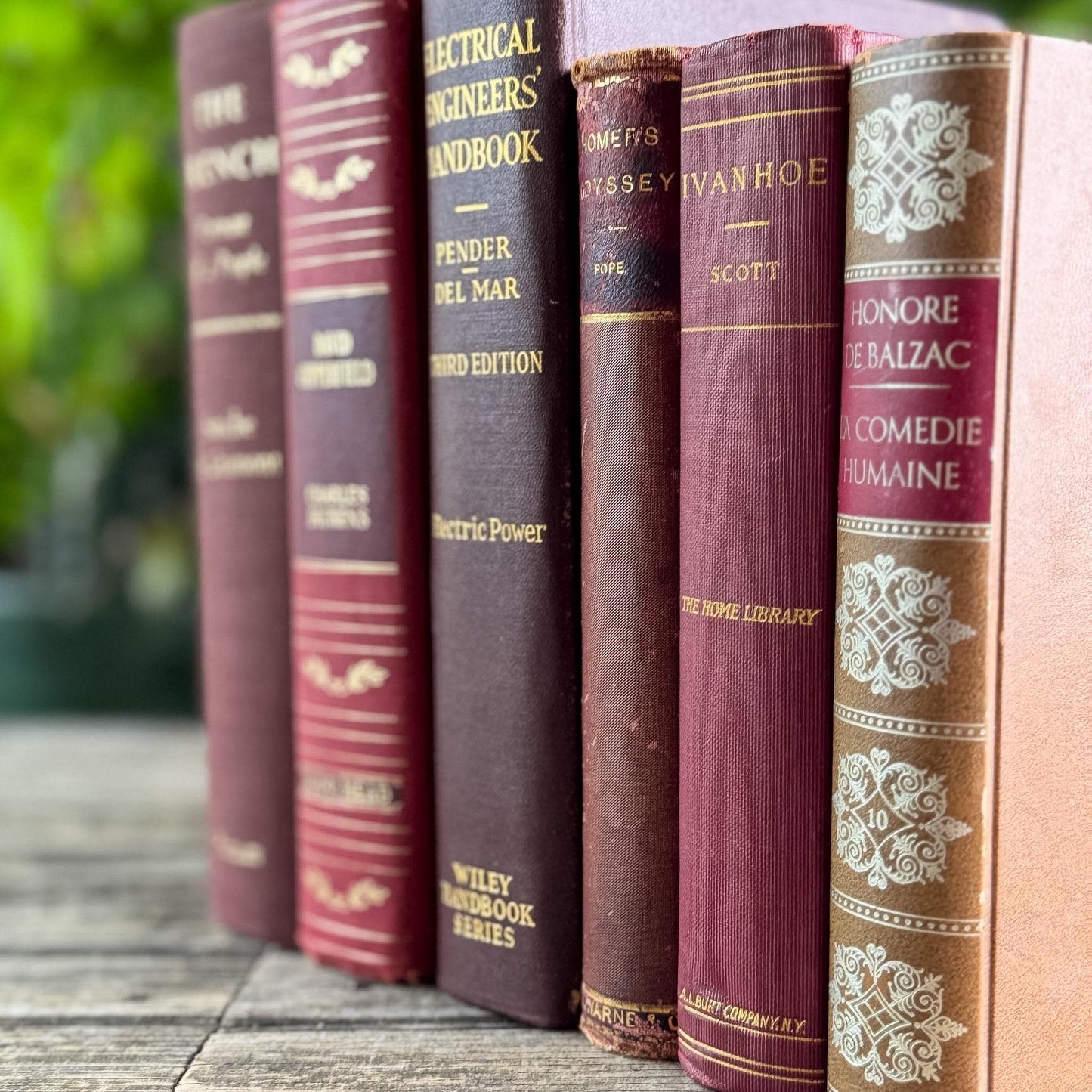 Maroon, Red & Gold Old Book Bundle of Classics