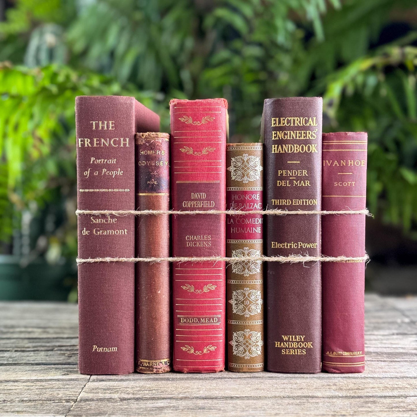 Maroon, Red & Gold Old Book Bundle of Classics