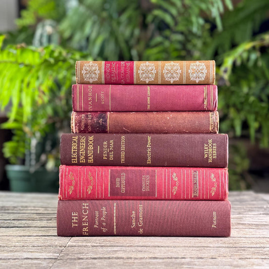 Maroon, Red & Gold Old Book Bundle of Classics
