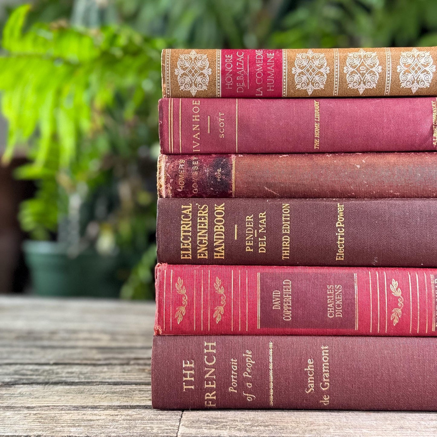 Maroon, Red & Gold Old Book Bundle of Classics