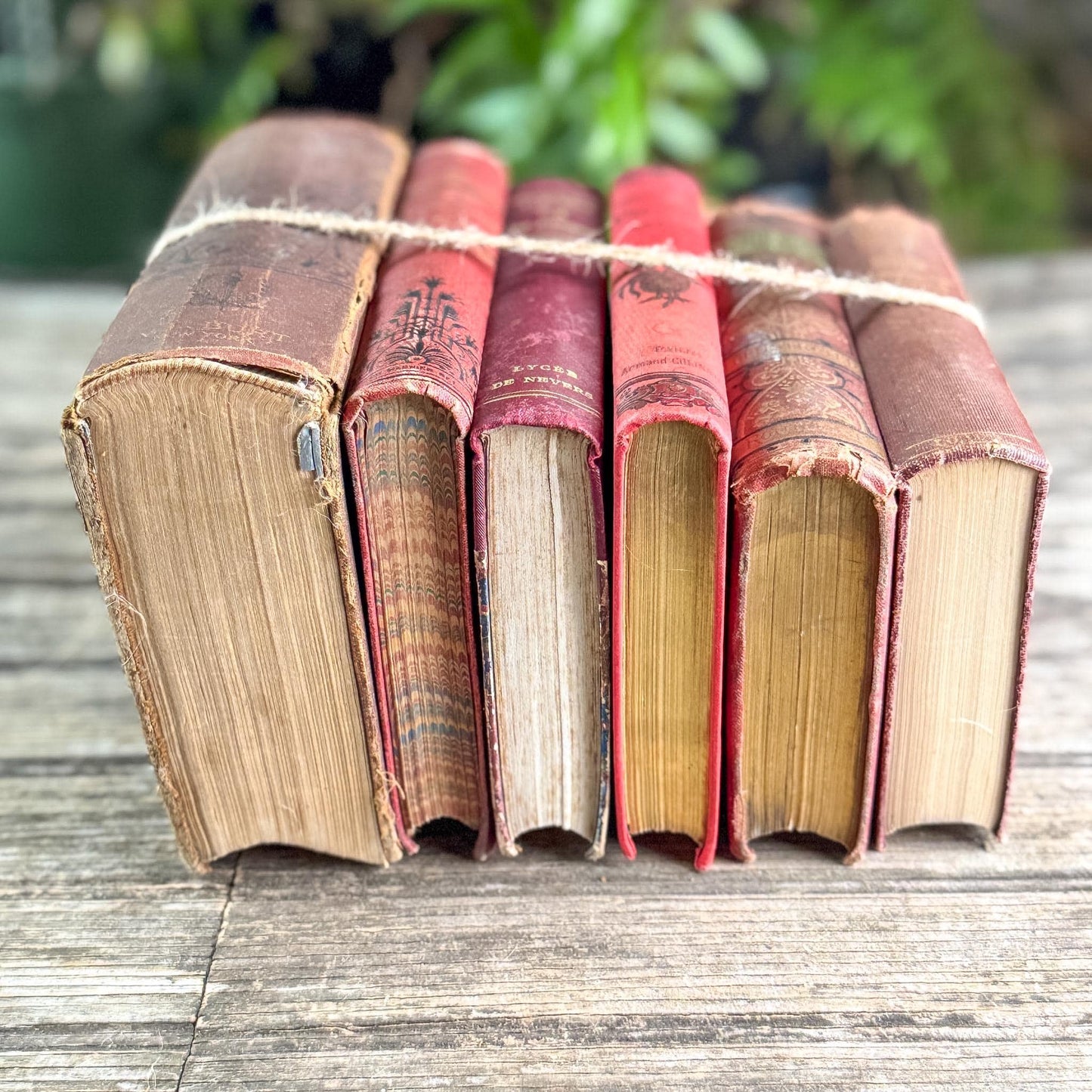 Antique Red French and English Classic Book Bundle