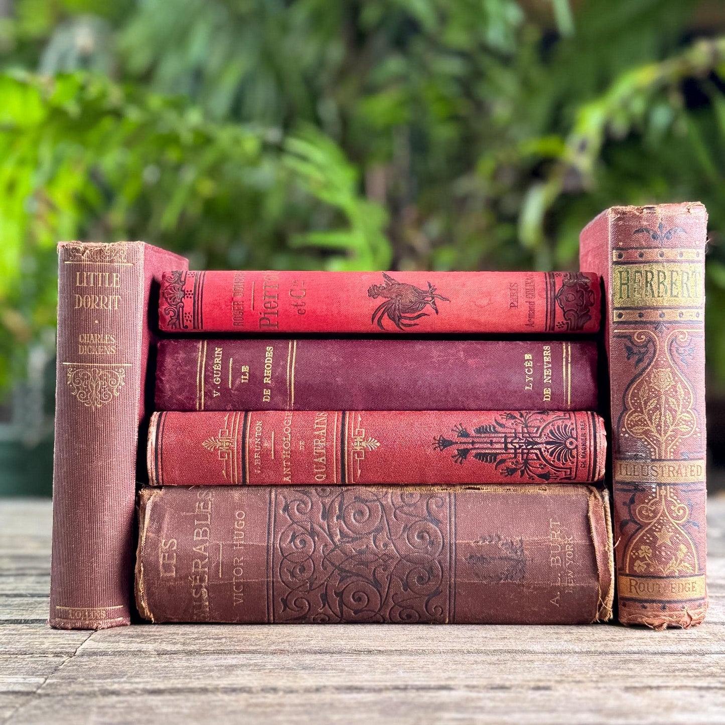 Antique Red French and English Classic Book Bundle
