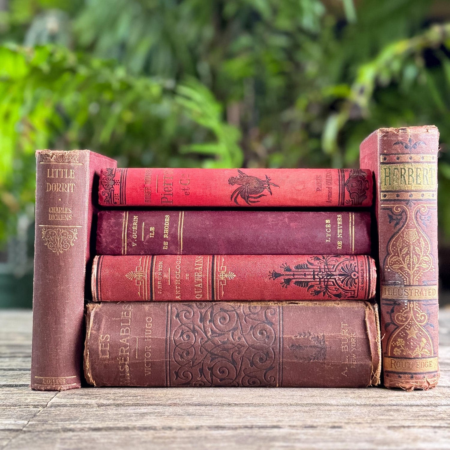 Antique Red French and English Classic Book Bundle