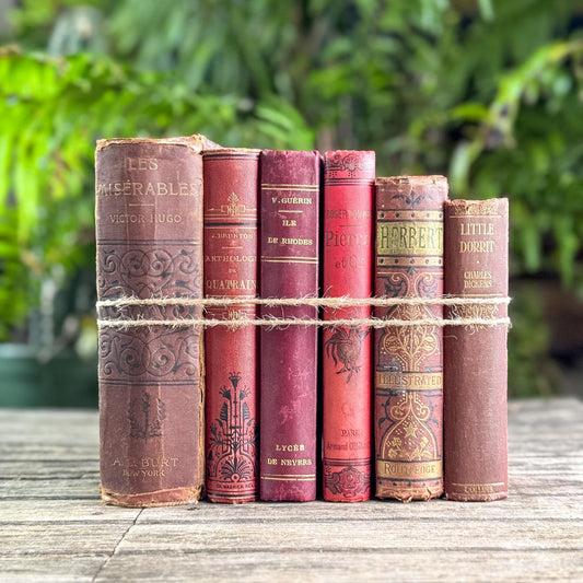 Antique Red French and English Classic Book Bundle