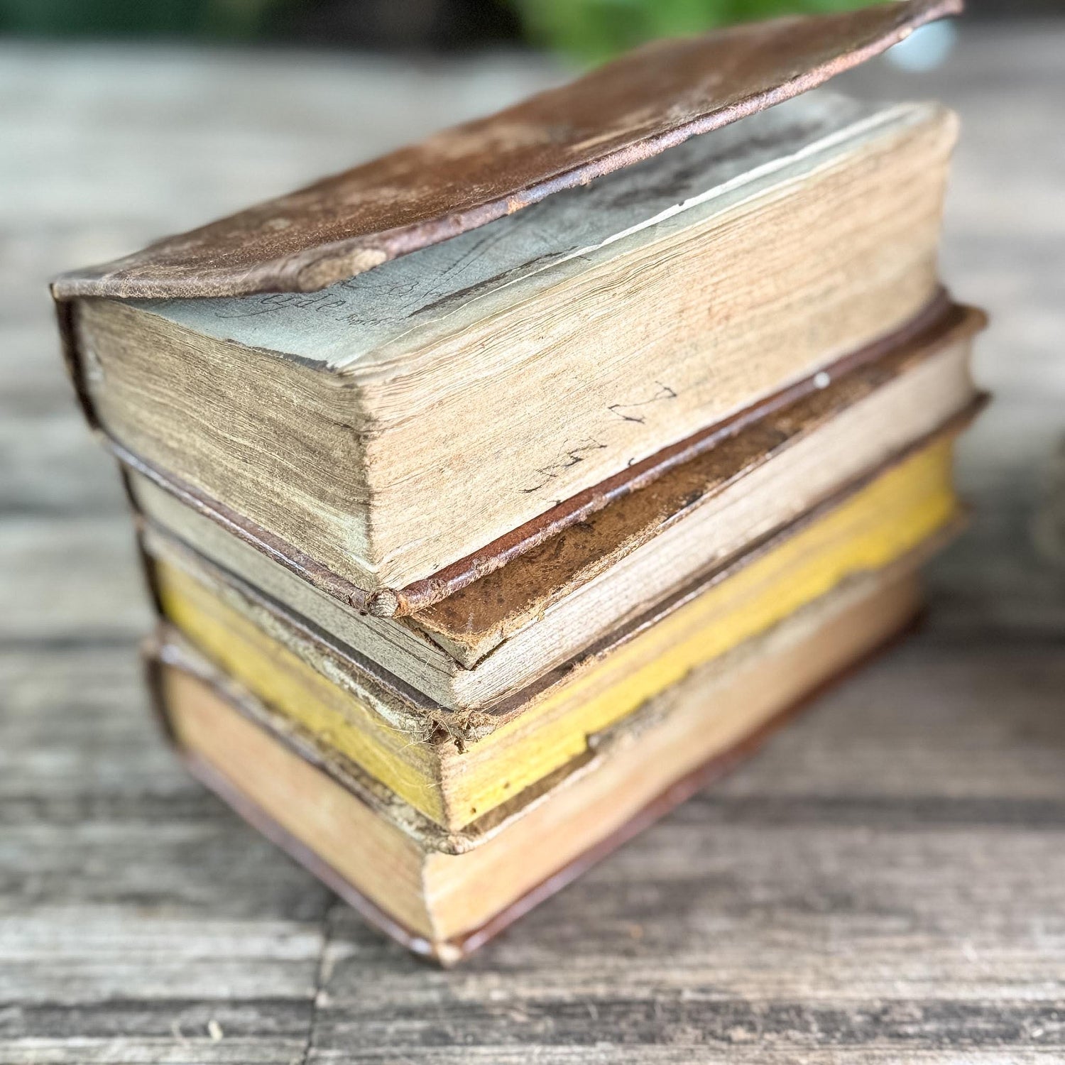 Set of 8 Tiny Shabby Antique French Leather Books