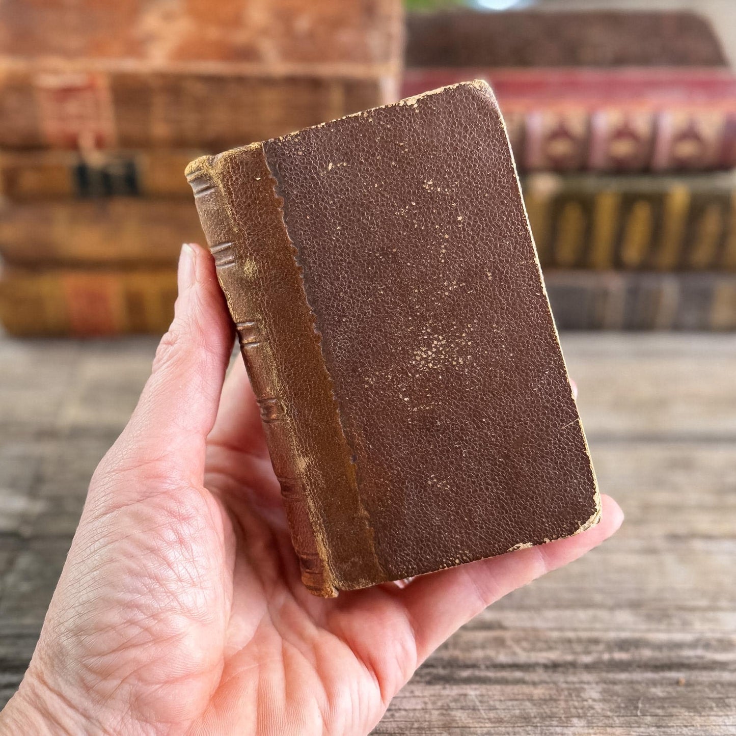 Set of 8 Tiny Shabby Antique French Leather Books