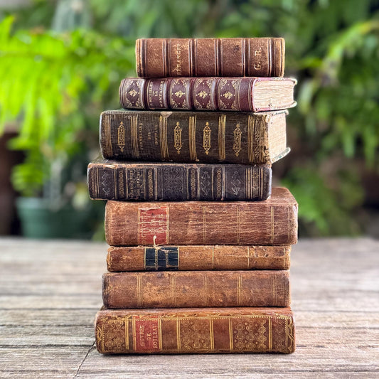 Set of 8 Tiny Shabby Antique French Leather Books