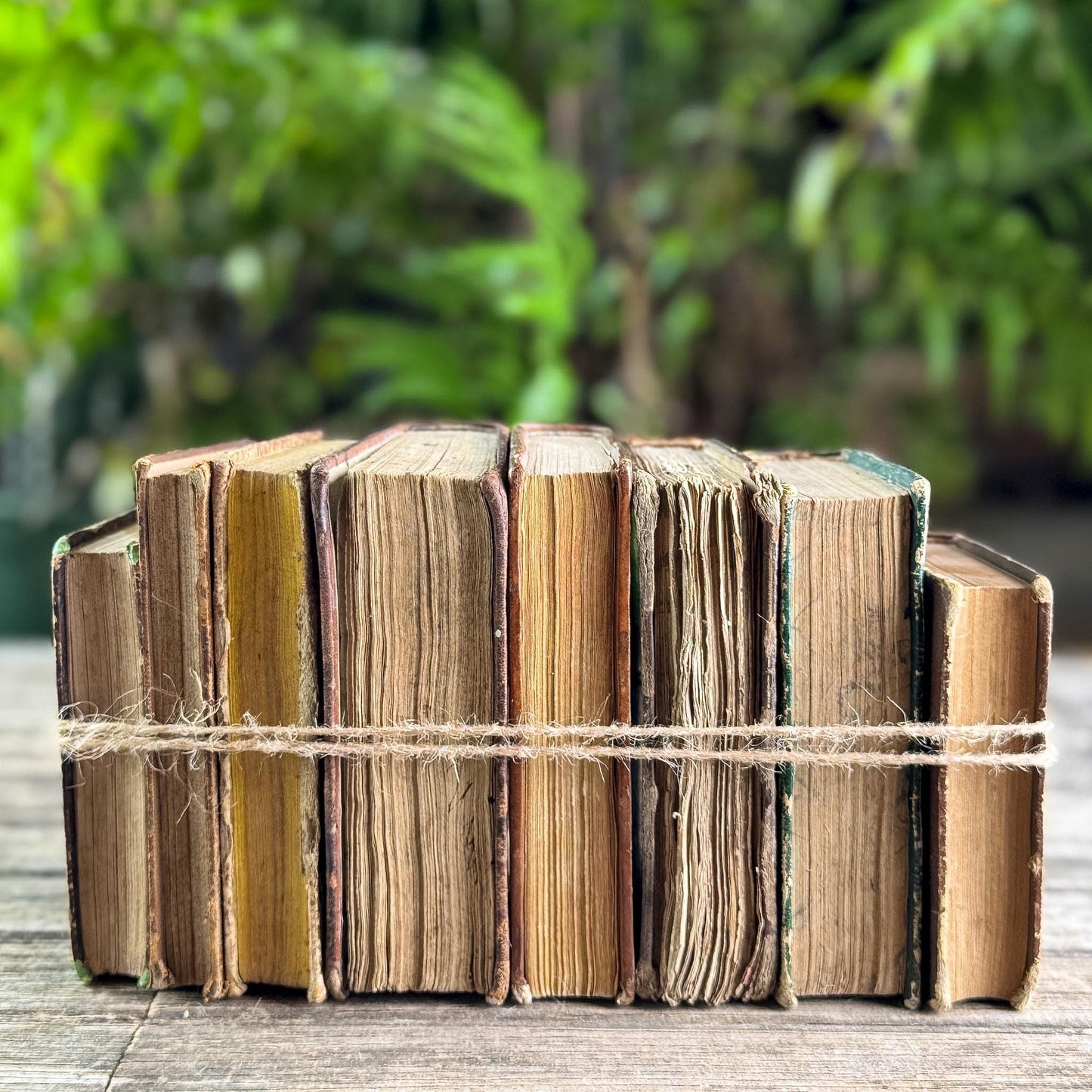 Set of 8 Tiny Shabby Antique French Leather Books
