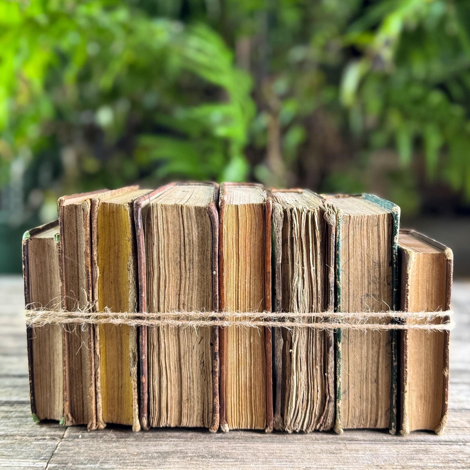 Set of 8 Tiny Shabby Antique French Leather Books