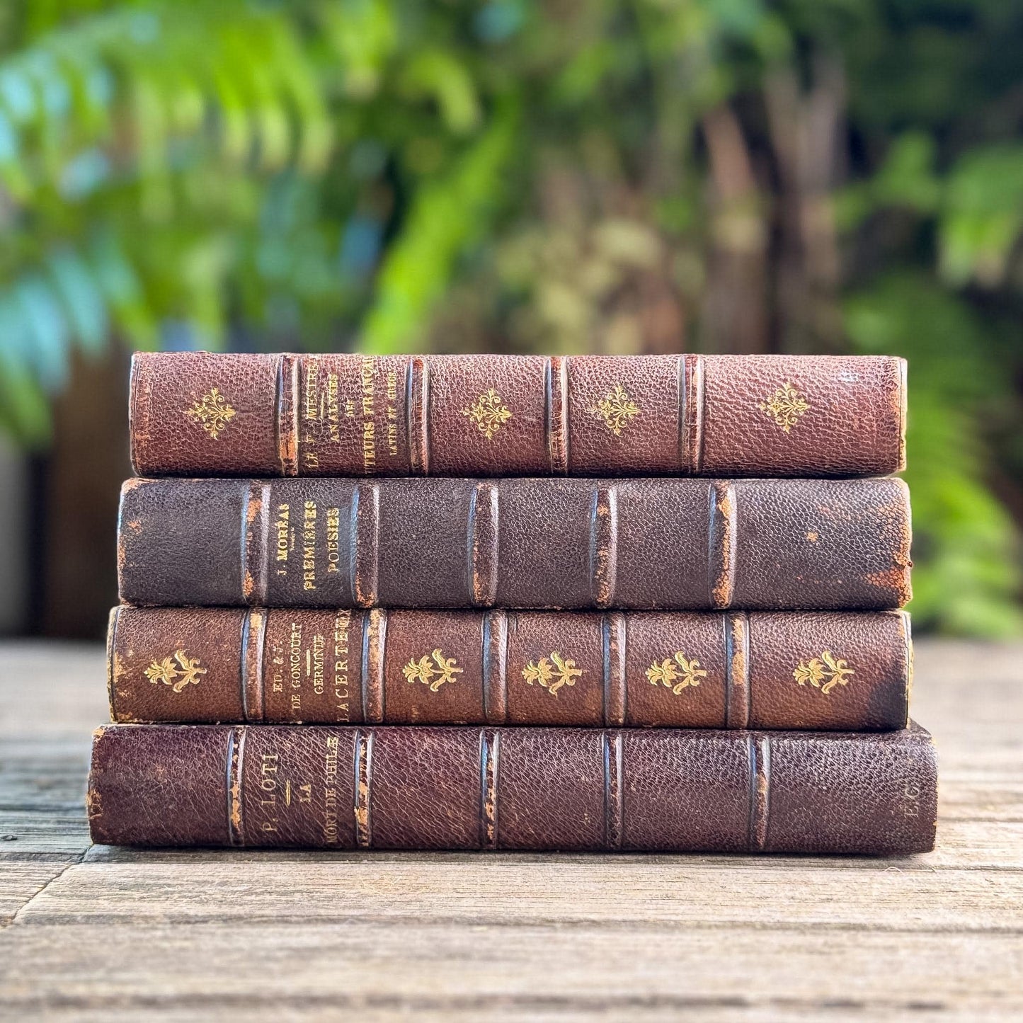 Antique French Half Leather Book Set in Brown and Oxblood with Marbled Boards
