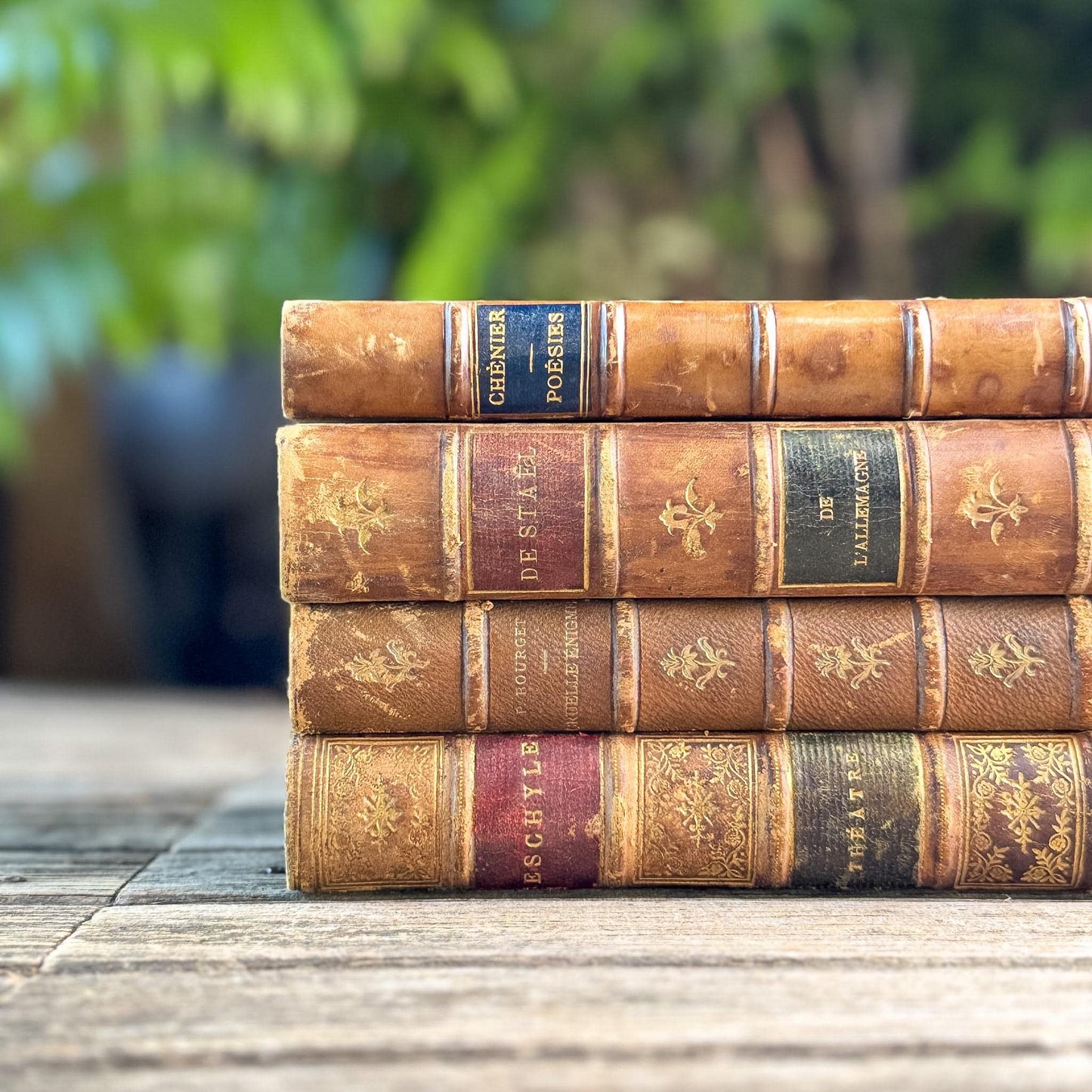 Antique French Leather Book Set with Aeschylus, Madame de Staël, Chénier, Bourget, Caramel & Tan with Marbled Boards