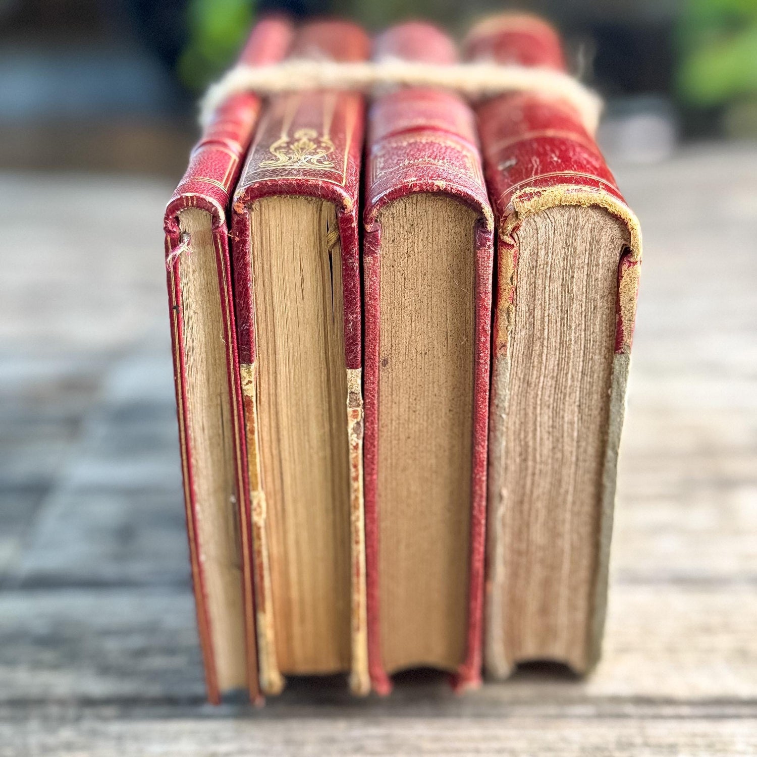 Antique French Red Leather Book Set from 1800s