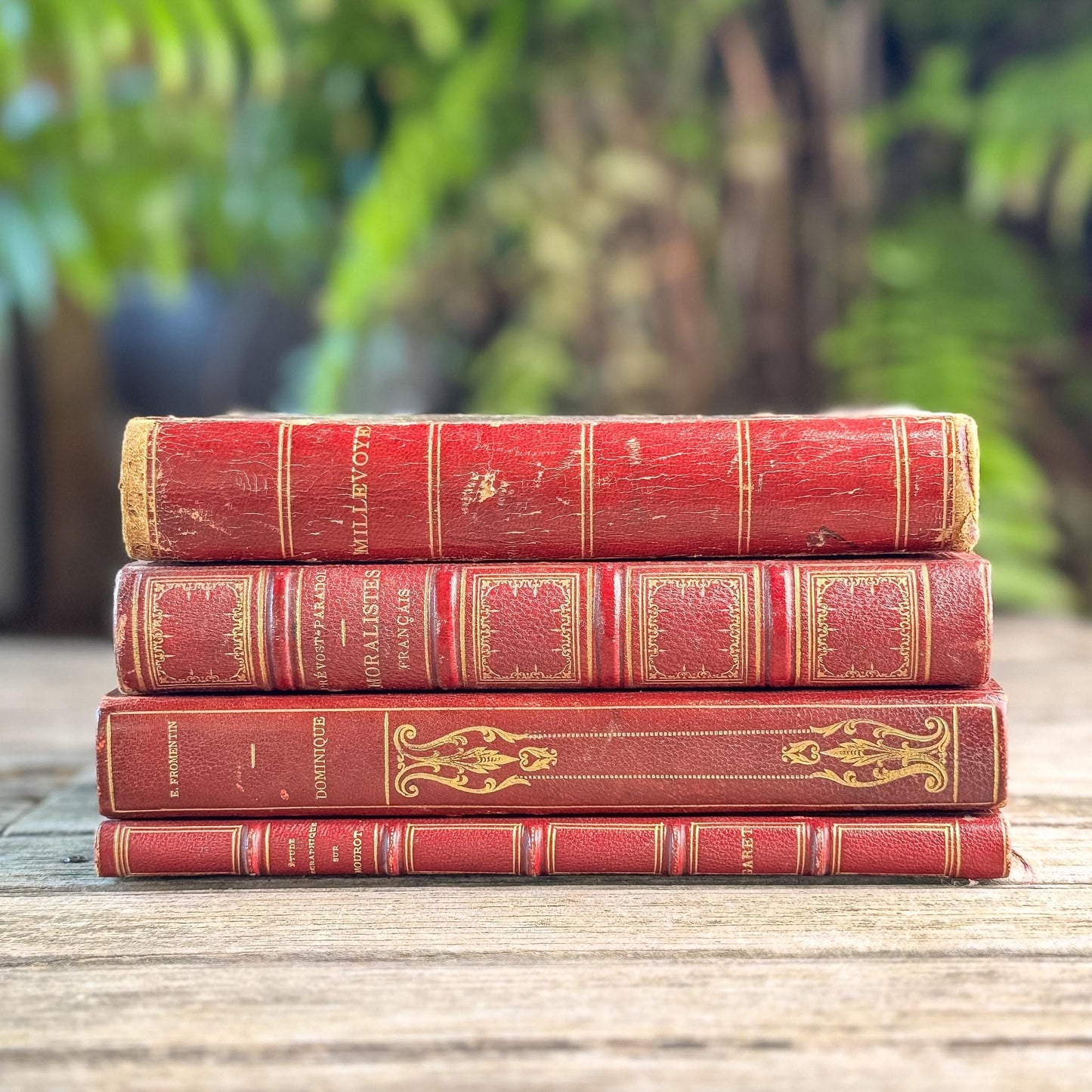 Antique French Red Leather Book Set from 1800s