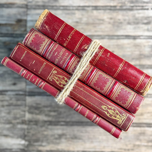 Antique French Red Leather Book Set from 1800s