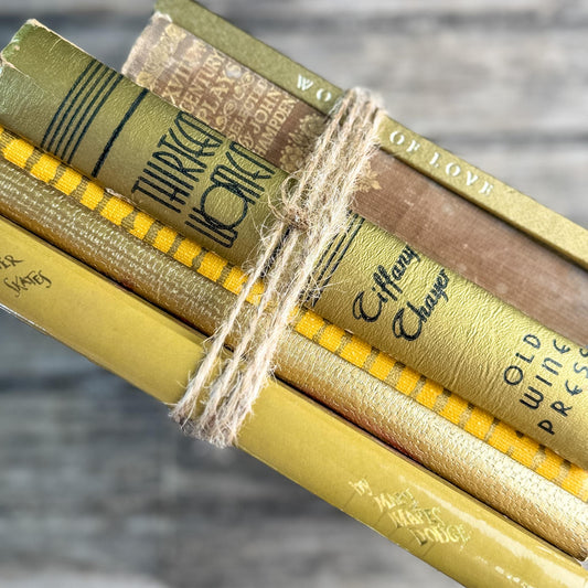 Vintage Gold Metallic Book Bundle for Shelf Styling