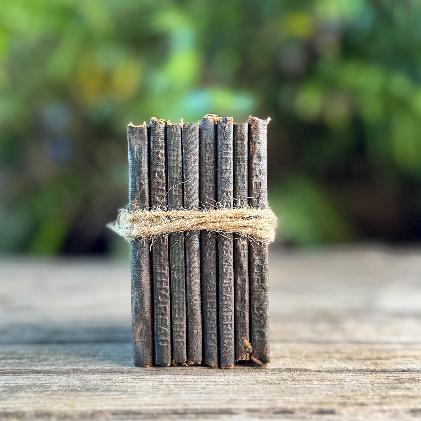 Tiny Antique Green Little Leather Library Books