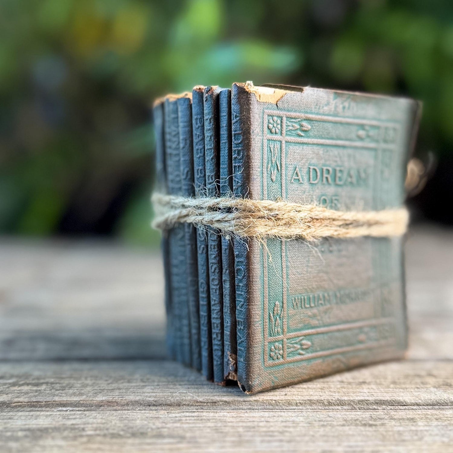 Tiny Antique Green Little Leather Library Books
