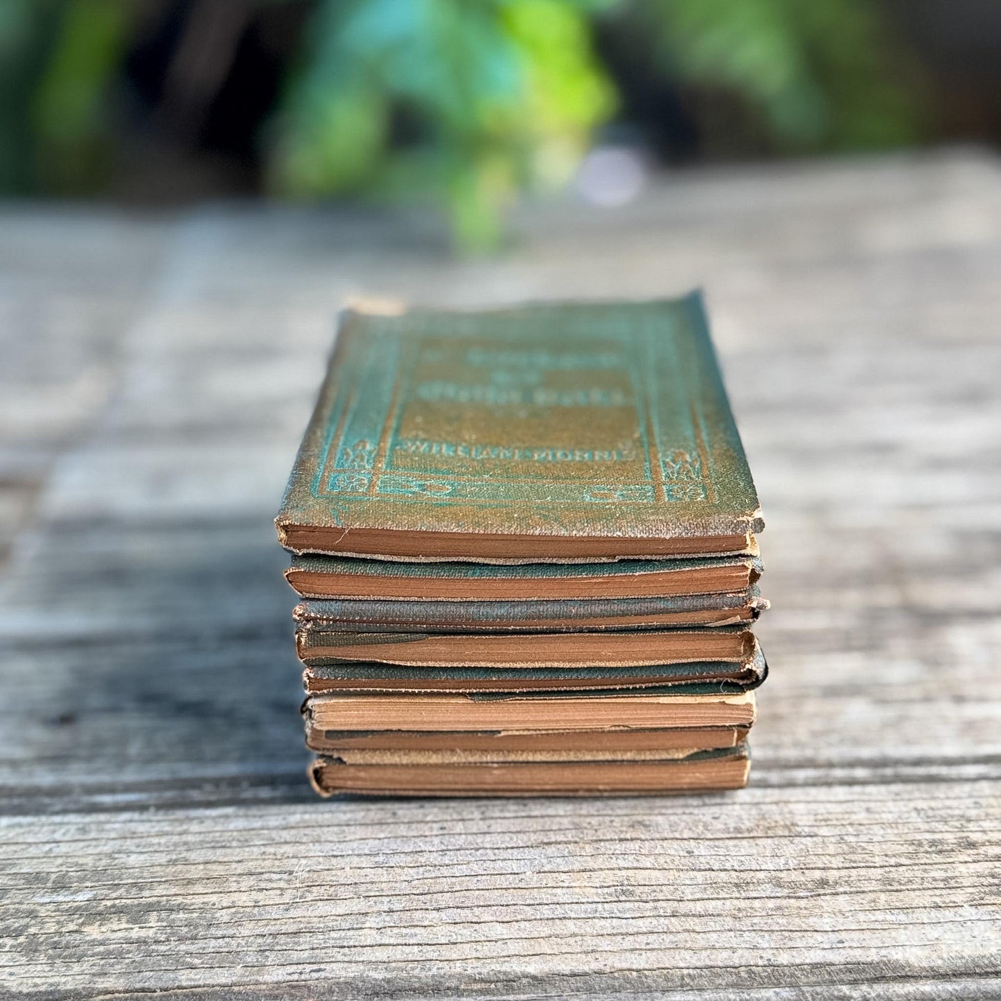 Tiny Antique Green Little Leather Library Books
