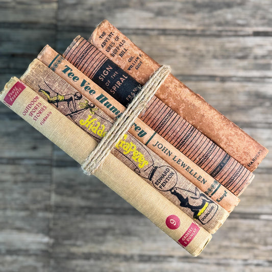 Vintage Children's Book Set in Tan, Rust and Copper, Boys Adventure
