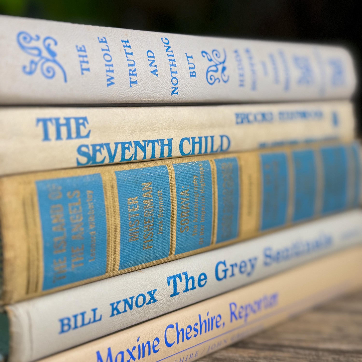 Vintage Tan, Gray, and Blue Book Set for Feminine Mid Century Shelf Styling