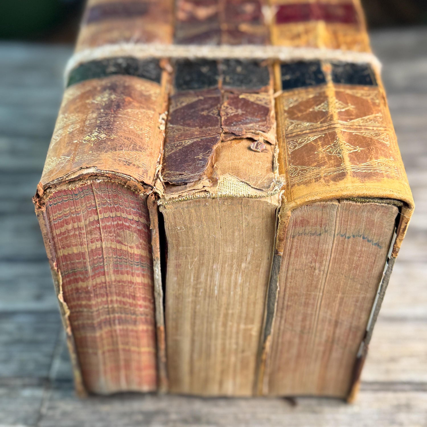 Antique Shabby Leather American Stud Book Set, 1898-1906