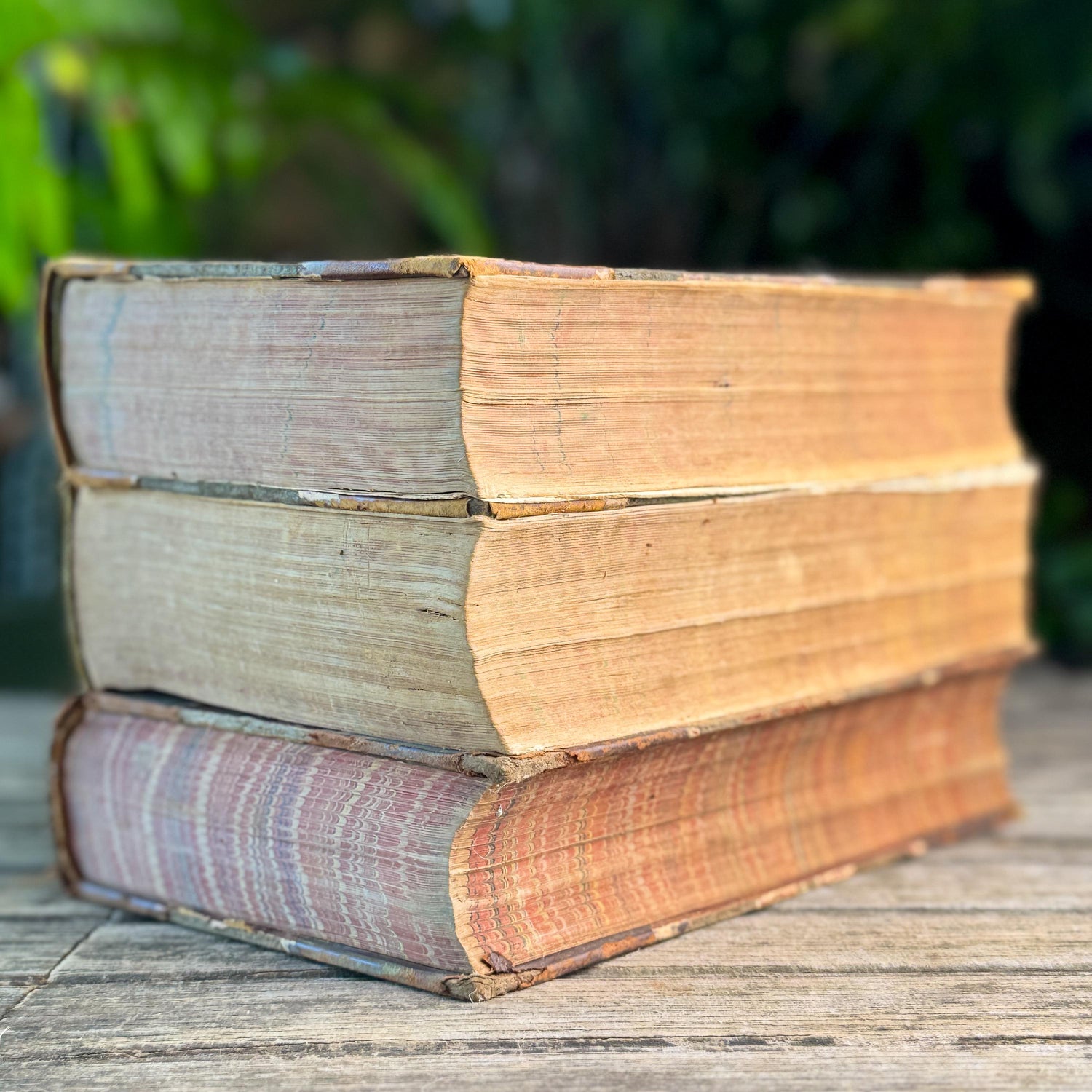 Antique Shabby Leather American Stud Book Set, 1898-1906