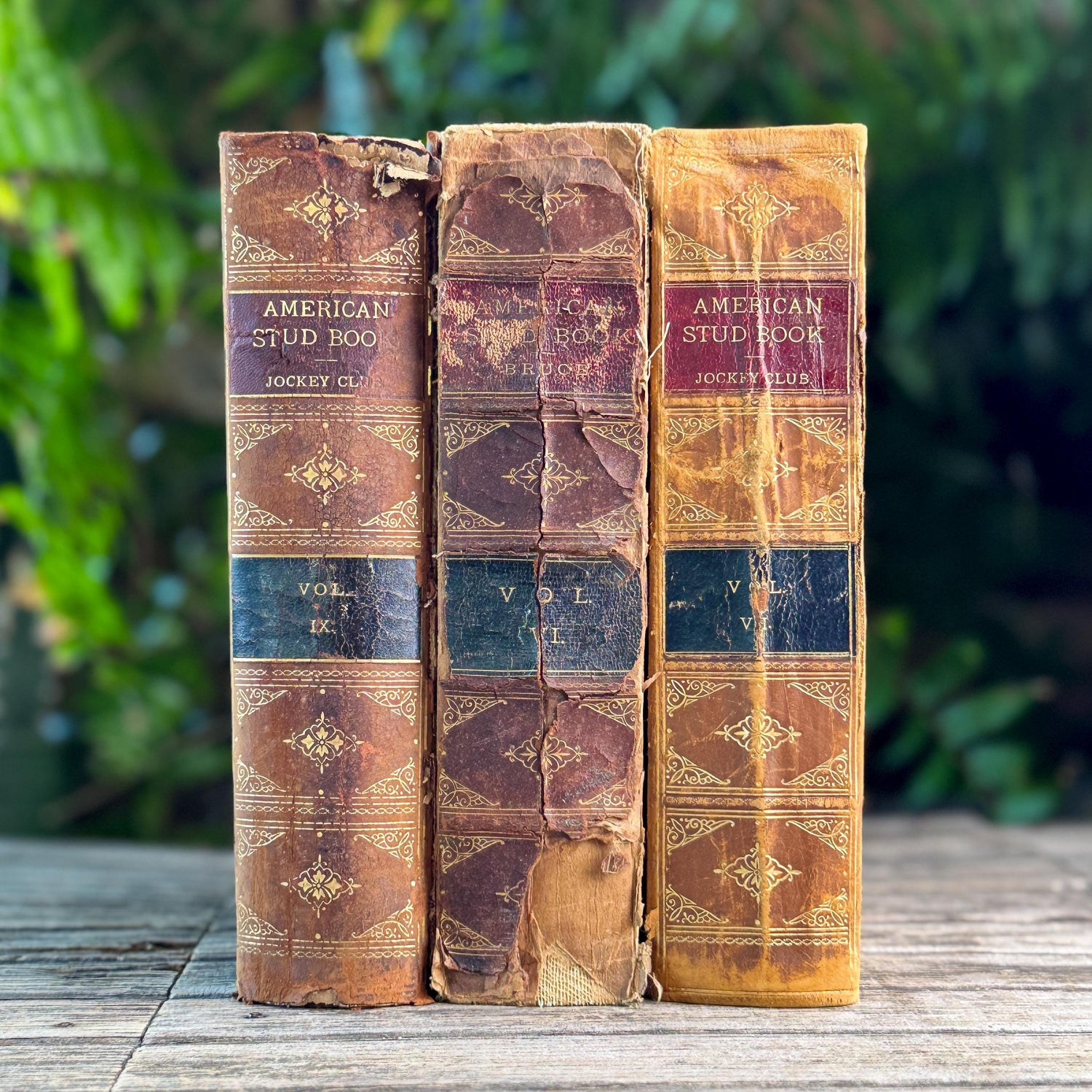 Antique Shabby Leather American Stud Book Set, 1898-1906