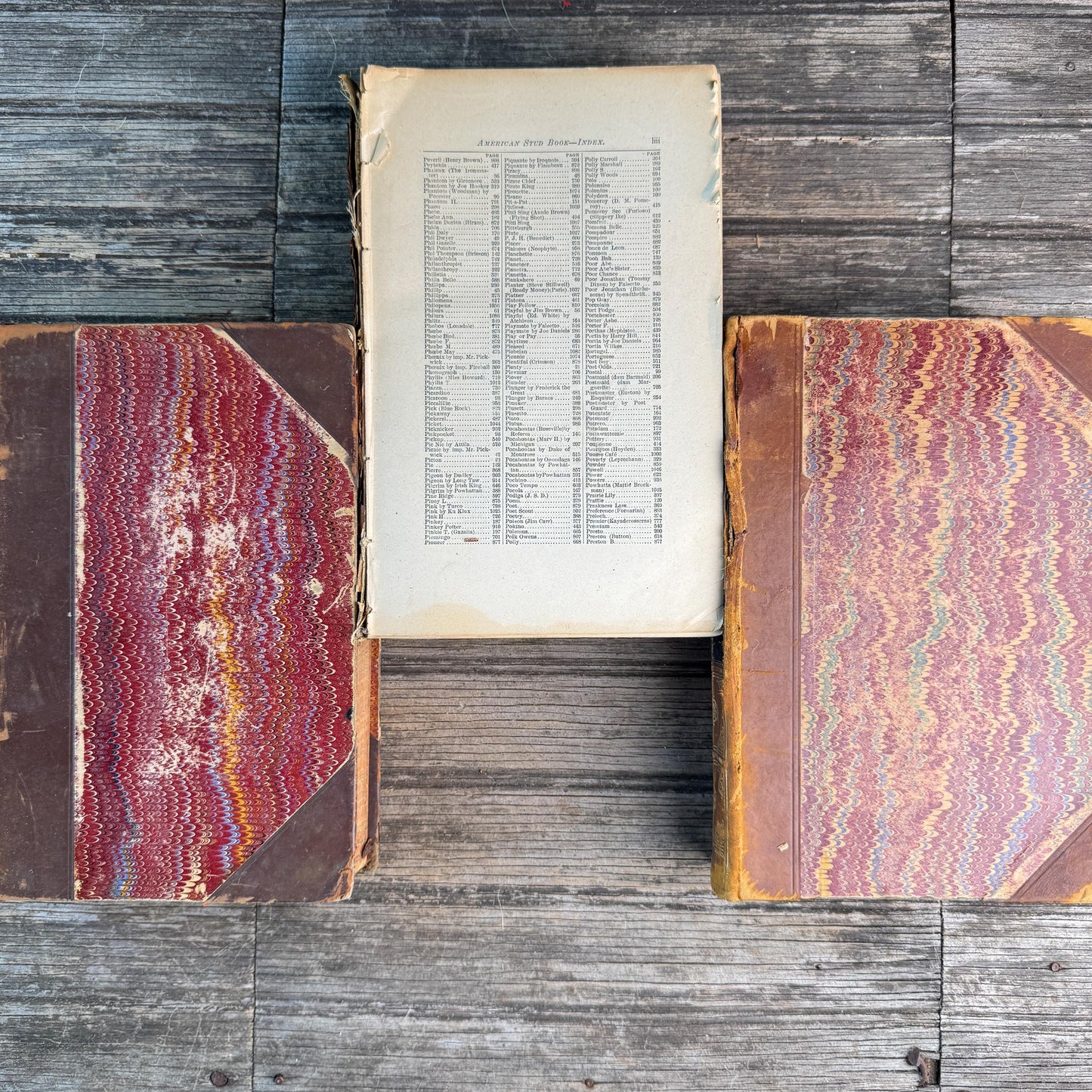 Antique Shabby Leather American Stud Book Set, 1898-1906