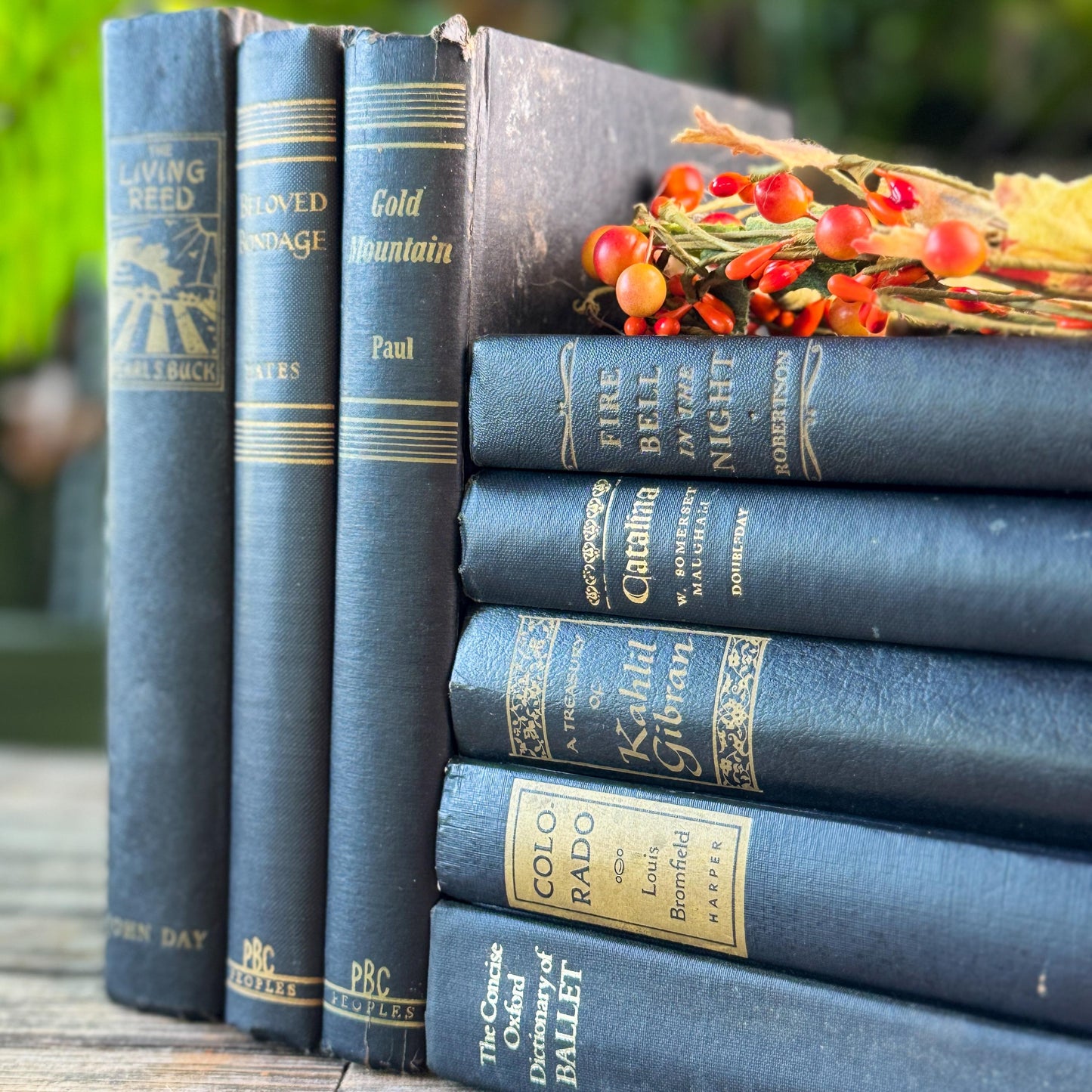 Vintage Black and Gold Book Set For Clean Minimalist Shelf Styling